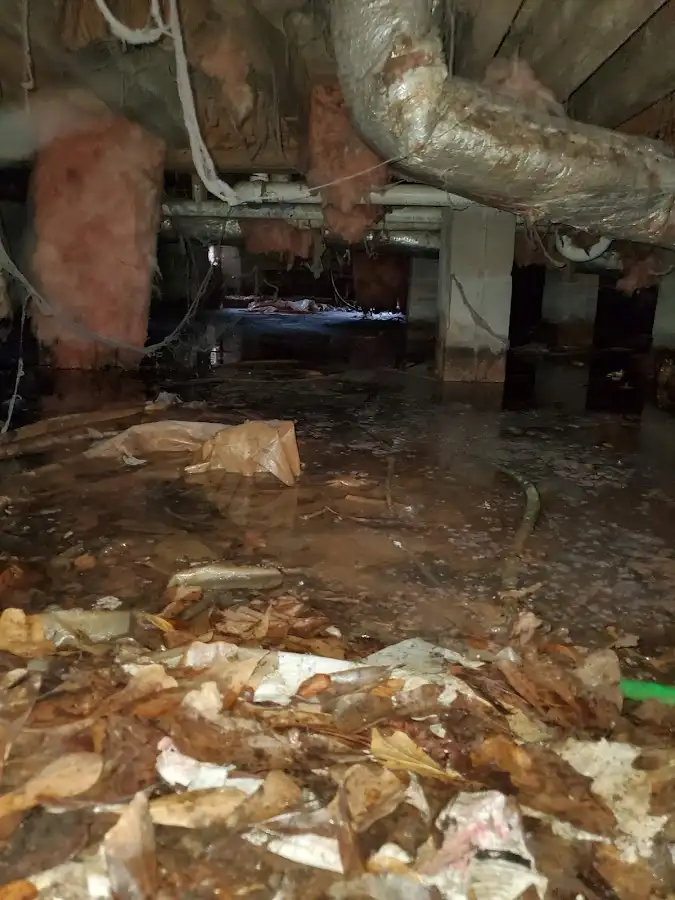 Crawl space flood assessment for Leak Detection & Repair in Sanford